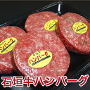 石垣牛 ハンバーグ 冷凍 和牛 沖縄 ギフト 内祝い 【4個...