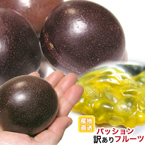 パッションフルーツ 訳あり 沖縄産 沖縄 フルーツ 500g