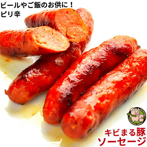 沖縄 きびまる豚 冷凍 ソーセージ バーベキュー 肉 BBQ 【チョリソー/20g×6本入】