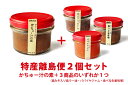 特産離島便2個セット(賞味期限8月)