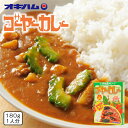 ゴーヤーカレー 画像1