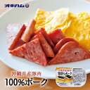 沖縄県産豚肉100％ポーク (140g) ×20個セット 送料無料 オキハム 沖縄お土産 沖縄 お土産 土産 グルメ プレゼント ギフト お取り寄せ 贈り物 ポーク チャンプルー お弁当 沖縄県産豚肉 調理 料理 食品 人気 定番 ご当地グルメ