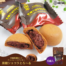 御菓子御殿 黒糖ショコラとろ〜る (6個入) 【2個セット】送料無料 レターパック 沖縄お土産 沖縄土産 御菓子御殿 お菓子 黒糖 チョコレート クッキー 沖縄食品 帰省土産 お取り寄せ 手土産 贈り物 ギフト お取り寄せグルメ