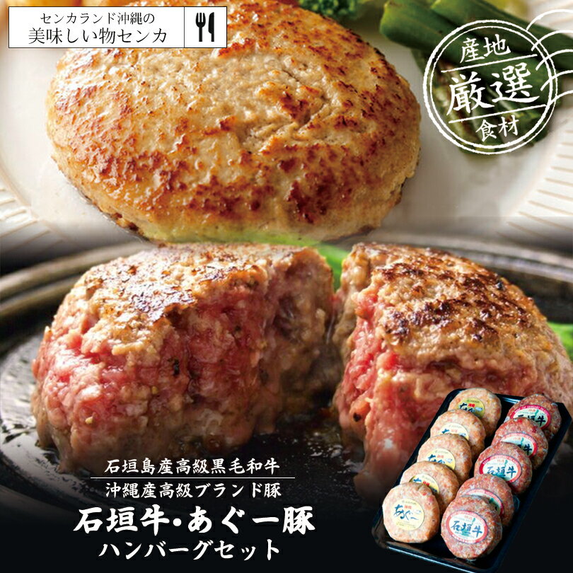 石垣牛 あぐー豚 ハンバーグ セット 1kg 【贈答用化粧箱入り】 送料無料 沖縄県産和牛 あぐー アグー アグー豚 沖縄 グルメ お取り寄せ お取り寄せグルメ 和牛 黒毛和牛 御歳暮 お中元 ギフト …