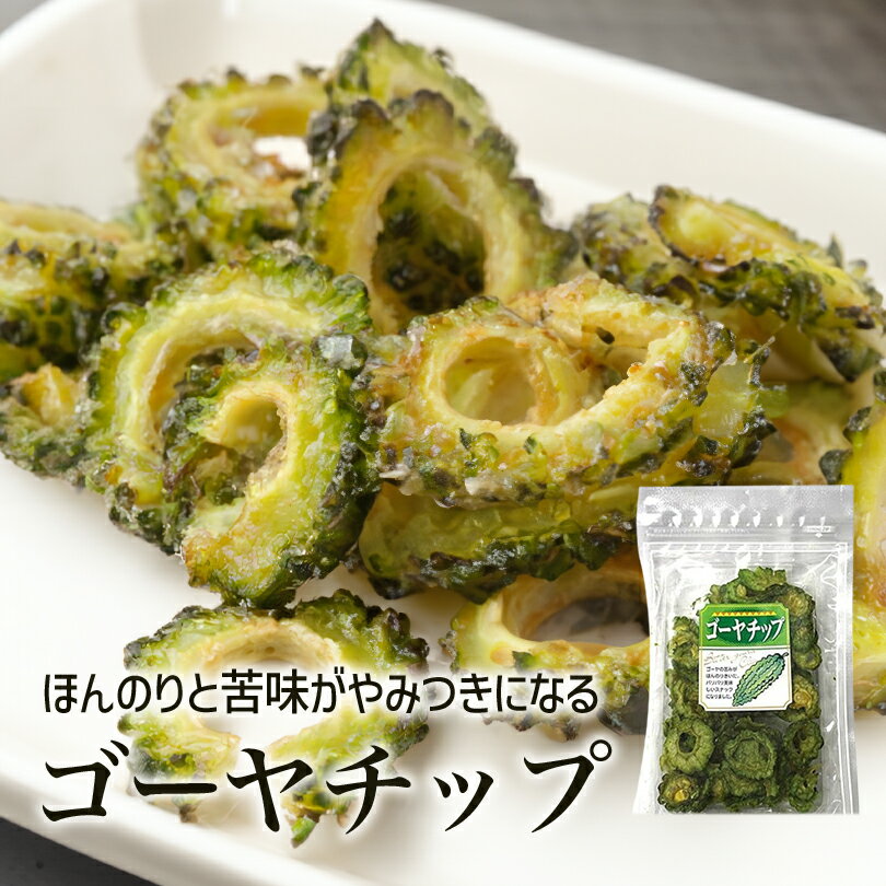 ゴーヤチップ 63g 送料無料 送料込み 野菜チップス 苦瓜 ゴーヤ お菓子 スナック菓子 おつまみ チャック付