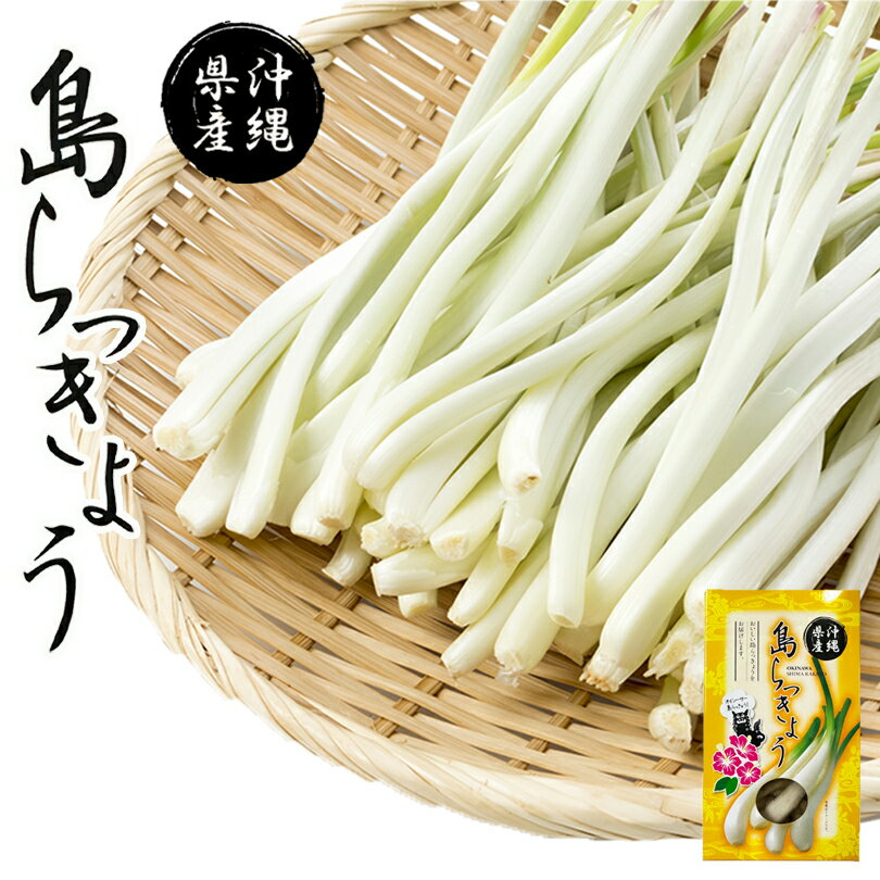 島らっきょう 60g (酢漬け）送料無料 レターパック 沖縄 塩 土産 グルメ つまみ プレゼント ギフト お取り寄せ 贈り物 1