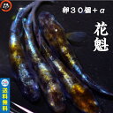 めだか卵 花魁めだか メダカ卵30個+α メダカ 販売 生体 高級 綺麗な めだか販売 黒 改良メダカ 観賞魚 めだか生体 メダカ生体 水槽 沖縄ストア