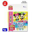 【1個】グーン(Goo.n) 水遊び用 スイミングパンツ 男女共用 Lサイズ 12枚入【送料無料】
