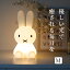 ߥåե եȥ饤 L 饤 ʥȥ饤  襤 LED USB ż ꥳ  ӥ miffy ܥꥹ 饤 ץ쥼 ե Mr Maria ߥޥꥢ Ťλ ˡ Ż