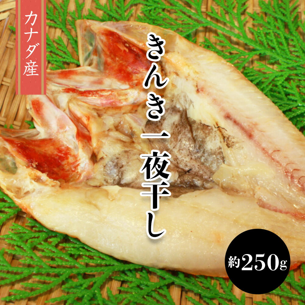 きんき(吉次)一夜干し 約250g 真空パック 干物 ひもの 冷凍 お取り寄せグルメ ギフト 贈り物 父の日 母の日