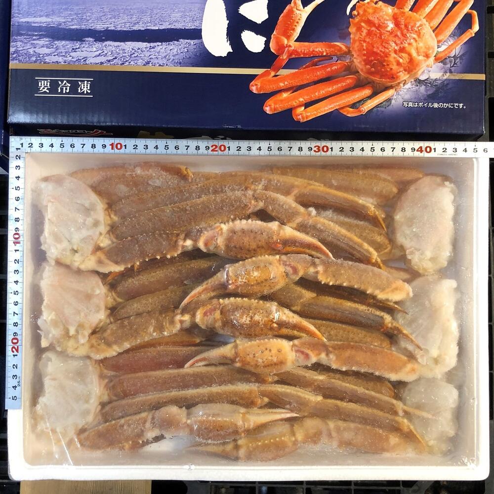 【バルダイ種】生ずわい蟹セクション 　超特大　6Rサイズ 　3kg /6肩！!【激レア物！】