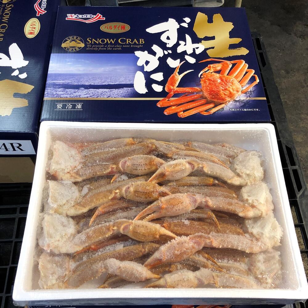 【バルダイ種】生ずわい蟹セクション 　特大　4Rサイズ 　3kg /8-9肩！!