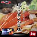 【バルダイ種】生ずわい蟹 ハーフポーションカット(半分取り除いた状態) 特大 5R サイズ 2kg むき身 カニ かに ずわいがに ズワイガニ お鍋 かに鍋 かにしゃぶ お刺身 冷凍 贈り物 化粧箱入り お歳暮