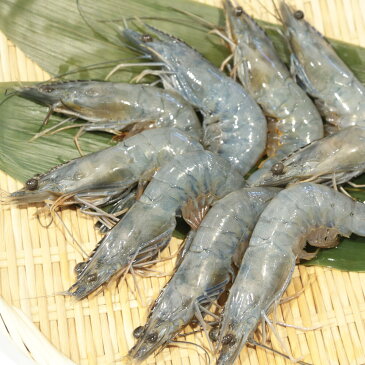【天使の海老】特々大1kg/20〜30尾入り【お刺身可】【再々入荷!】