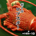 【ロブスター 大 約160g×10尾】ボイル ロブスター 大 ボイルロブスター エビ 冷凍 ボイル済み お取り寄せ お中元 お歳暮 御膳 お重 おせち 敬老の日...