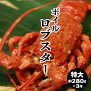 【ロブスター 特大 約280g×3尾】ボイル ロブスター 大 ボイルロブスター エビ 冷凍 ボイル済み お取り寄せ お中元 お歳暮 御膳 お重 おせち 敬老の日 父の日 母の日 クリスマス ビスク ホームパーティー 映え料理 豪華