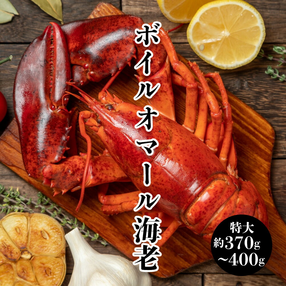 【送料無料 カナダ産 オマール海老】ボイルオマール海...