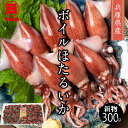 【兵庫県産 ほたるいか】新物 ふっくら茹でほたるいか 300g 約80匹 割引送料込 蛍いか ホタルイカ ボイルほたるいか ボイルホタルイカ 蛍イカ ボイル プロトン急速凍結 マルヨ商品 冷凍 ちょい足しグルメ お取り寄せグルメ