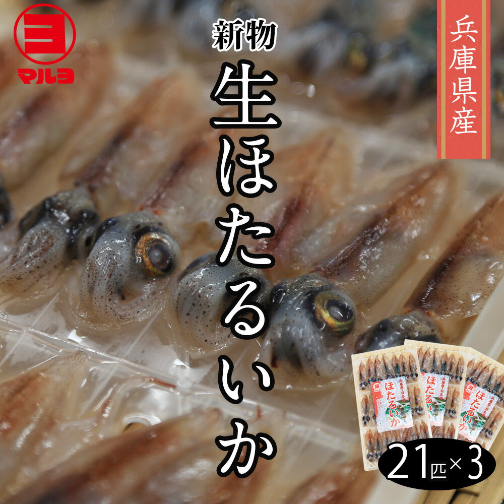 【兵庫県産 ほたるいか】新物 生ほたるいか 21匹×3パック 割引送料込 蛍いか ホタルイカ 蛍イカ お刺身 生食可 冷凍 兵庫 日本 ちょい足しグルメ お取り寄せグルメ 高級 ホタルイカ冷凍