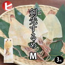 【送料無料 剣先するめ M / 3枚 】中剣 剣先 するめ M 約35g前後×3枚 スルメ あたりめ 寿るめ 寿留女 するめいか スルメイカ スルメ姿 イカ い...
