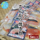 【レンジでこんがり焼き魚 鮭加賀みそ 5食セット】甘口 銀鮭 加賀 加賀味噌 加賀みそ冷凍 時短レシピ タイパ 電子レンジ調理 お惣菜 お弁当 お弁当おかず ヘ...