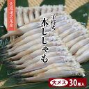 送料無料【北海道 広尾産 本ししゃも 大 メス 約550g】 国産 広尾 子持ち ししゃも 30尾 シシャモ 子持ちししゃも 柳葉魚 冷凍 日本 高級魚 高級品...
