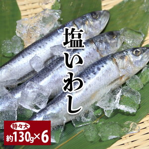 【送料無料 塩いわし 約130g×6匹セット】節分いわし イワシ 鰯 節分 厄除け 魔除け 邪気払い 無病息災 縁起物 柊刺し 特々大 約130g×6匹 いわし 鰯 国産 DHA カルシウム 中央卸売市場 割引送料込み
