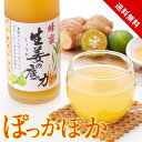 【ブラックフライデー|ポイント5倍11/27 1:59まで】シークワーサーはちみつ生姜ドリンク 生姜の底力 500g 原液 国産生姜 冷え症 ハチミツ 生姜飲料...