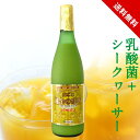 黄金の恵み シークワーサー 原液 ジュース ノビレチン ヘスペリジン ビタミンC 乳酸菌 オリゴ糖 酵素 四季柑 ピクノジェノール フラバンジェノール 植物性発酵酵素 松葉エキス フランス海岸松樹皮 野草発酵エキス クエン酸 送料無料