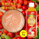 アセロラ100　500ml×1本　アセロラ　ビタミンC　ポリフェノール　ドリンク　ジュース　沖縄　土産　人気　定番 贈り物　ギフト　無添加　栄養機能食品　アセロラジュース