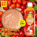 アセロラ100　500ml×24本セット　アセ