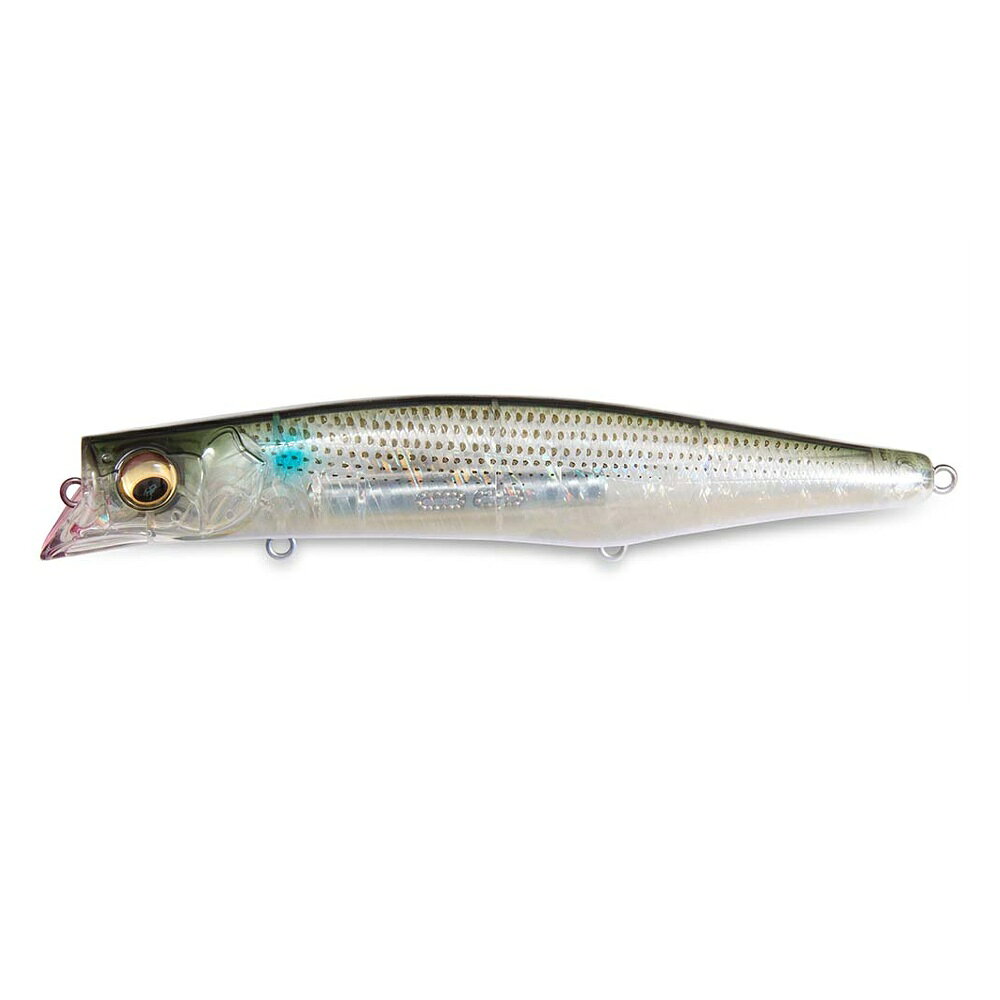 Megabass Seabass Lure Kagelou MD 156F GP Clear Mullet