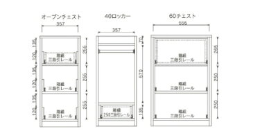 日本製 本棚 おもちゃ箱 収納えほんラック引出キャスター収納 子供用　60　あんじゅ こども キッズ扉付 薄型 オシャレ スリム 棚 ラック おもちゃ収納 絵本棚 絵本ラック おもちゃ収納ラック 　　本収納