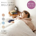 P10倍!【送料無料 プレゼントにもおすすめ】羽毛入り肩当て 軽量 フリーサイズ 男女兼用 ルームウェア 防寒 秋 冬 羽毛 ダウン フェザー 肩当て 肩掛け ...