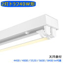 LED蛍光灯器具 トラフ 2灯 40W形 輝度可選 施設照明 天井照明 家庭 工場 倉庫 店舗 美容院 病院 高輝度 高演色性 省エネ 昼光色 昼白色 電球色 ...
