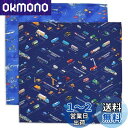 COLORFUL CANDY STYLE ランチクロス 男の子 2枚セット 給食 ナフキン お弁当 スタンダード 45×45cm 正方形 ブルーラグーンとはたら...