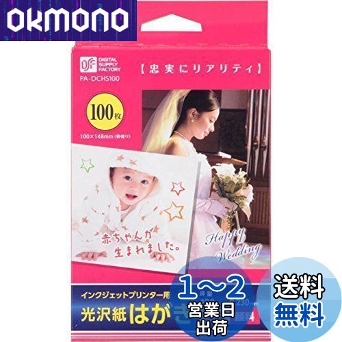 (OHM) 󥯥åȥץ󥿡  Ϥ 100 PA-DCHS100