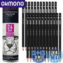 HIFORNY 24本 グラファイトスケッチ鉛筆セット - グラファイト鉛筆 (14B - 5H) スケッチ鉛筆 描画用鉛筆 製図用鉛筆 アート鉛筆 19グレー...