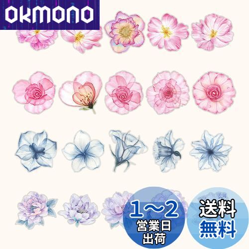 YOVOY 顼 Ǻॷ ֥륻å 襤 ե졼 ȥ ƥå Ʃ֥ ǥڡѡ 顼...
