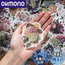Alideco 240枚 フレーク シール ステッカーコラージュ 素材 ペーパー 素材紙 かわいいレトロ 花、植物、動物、レース、蝶 耐水性 韓国 シール帳 ,...