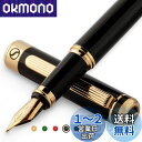 Scriveiner 最高級 プレミアム 万年筆 (黒) 魅力的な美しさ 24K金仕上げ Schmidt 18K金メッキペン先(ミディアム) 男性にも女性にも最...