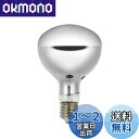 エルパ (ELPA) 屋外用レフランプ300形 電球 DIY 2800lm 270W 39mm 屋外/屋内兼用 ERF110V270W