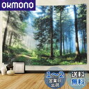 Pknoclan 森の光タペストリー 自然風景 木 大判壁掛け 新緑の並木 多機能壁掛け 布ポスター 模様替え 部屋 窓 カーテン 新居祝い お店 個性ギフト ...