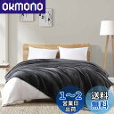 Hansleep 毛布 セミダブル 冬用 ブランケット マイクロファイバー 柔らかく肌触り フランネル 洗える 軽量 静電防止 四季適用 (160x200,グレーブラック)