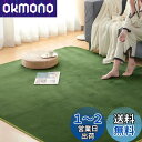 Keusnix カーペット ラグ ラグマット滑り止め付 洗える 200×250cm 約3畳 絨毯 防ダニ 抗菌 防臭 オールシーズン快適に使用 床暖房 ホットカ...