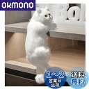 TARATI 置物 オブジェリアル 猫 置物インテリアデザイン小物猫 ギフト癒し かわいい お返し 置物 インテリア猫 好き な 人 へ の プレゼント 独り暮...