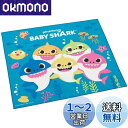 スケーター(Skater) 子供用 お弁当 ランチクロス 43×43cm キッズ 日本製 ベイビーシャーク 男の子 KB4