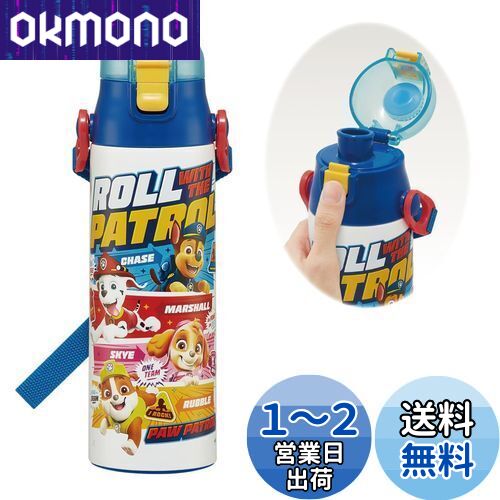 (Skater) Ҷ ƥ쥹  ľ 580ml ѥѥȥ 24 Ҷ̥ͥ  wate...