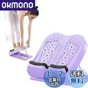ストレッチボード 傾斜ボード 折りたたみ 健康器具 (パープル)(4)