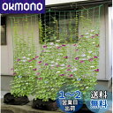 【送料無料】【緑のカーテンを作ろう】つる栽培ネット つるもの ネット 野菜誘引 10cm角目 1.8m*2.7m 四隅取付ロープ付 ゴーヤ ヘチマ 朝顔 カーテ...